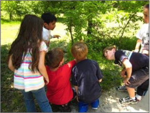 Children explore the outdoors and nature with the help of PLT activities.