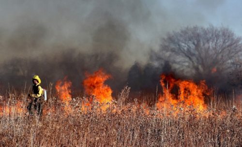 firefighters beside a brush fire